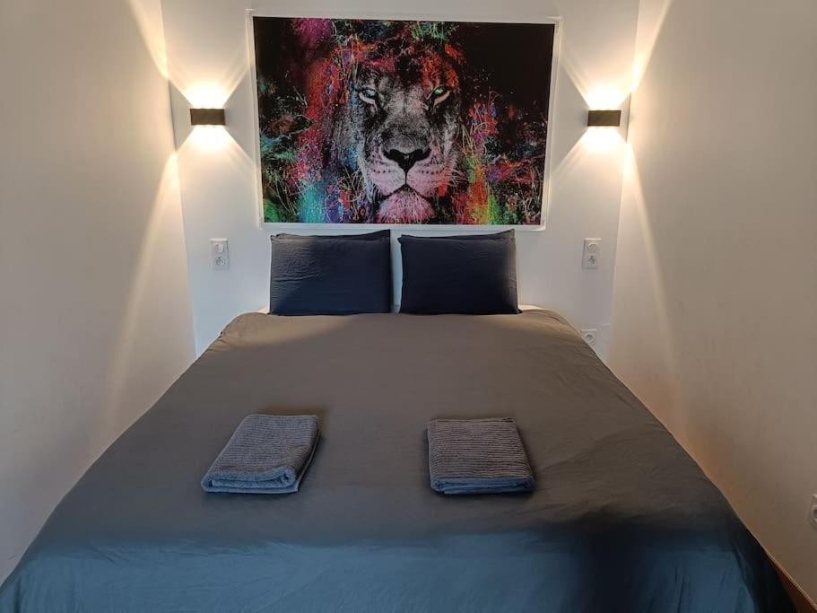 Appartement Confort Equipe Au Coeur De Beziers Ngoại thất bức ảnh